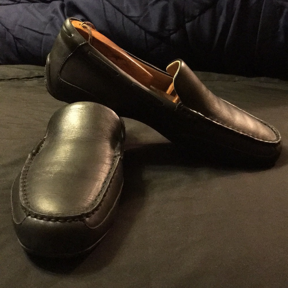 Sperry Navigator Vene